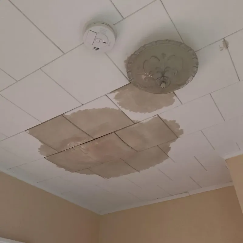 Ceiling Water Damage Repair in Wyomissing Hills, PA