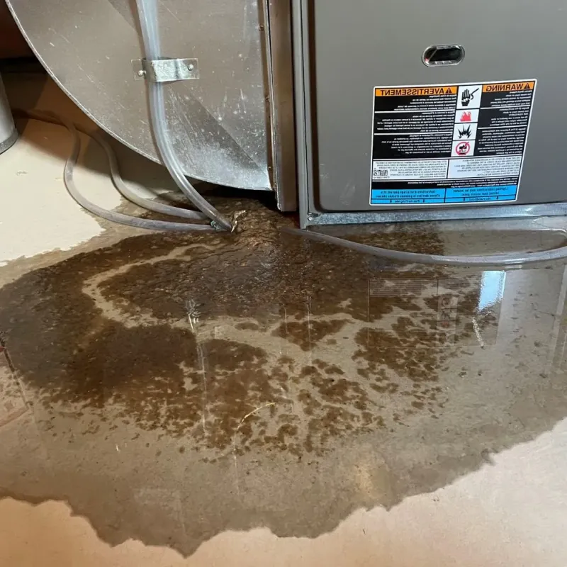 Pipe Burst and Leak Restoration in Wyomissing Hills, PA