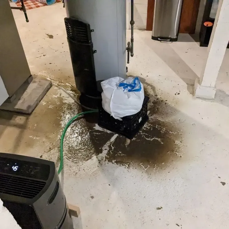 Sewage Backup Cleanup Service in Wyomissing Hills, PA